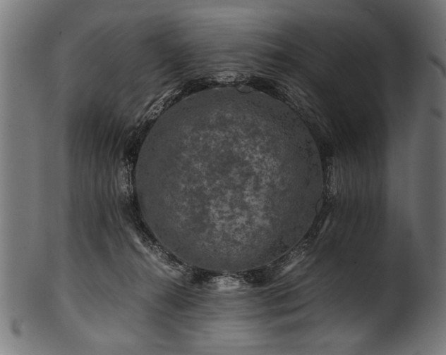 X0000100950272200806241510