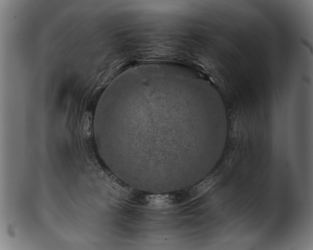 X0000100950273200806241510