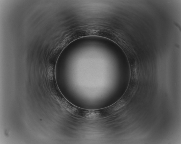 X0000100950274200806241510