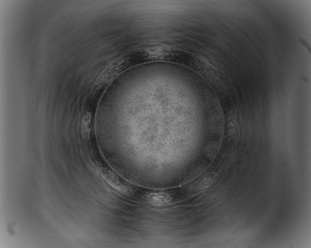 X0000100950275200806241510