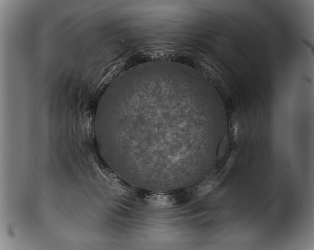 X0000100950276200806241510