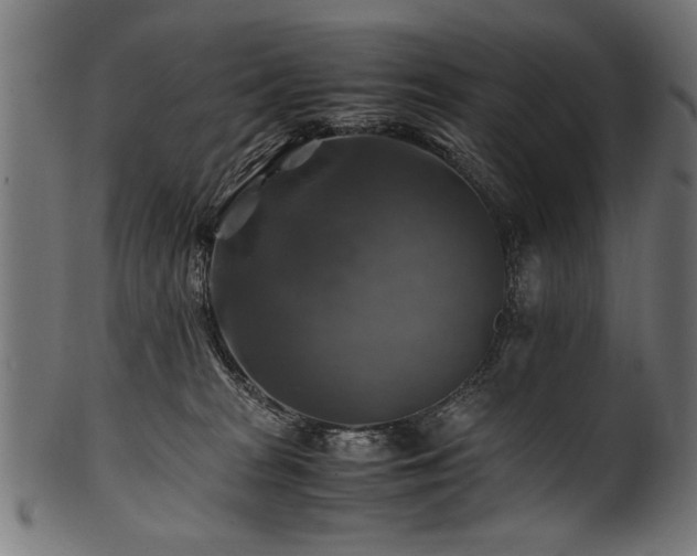 X0000100950277200806241511