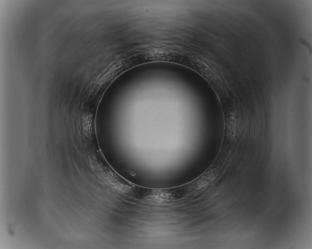 X0000100950278200806241511