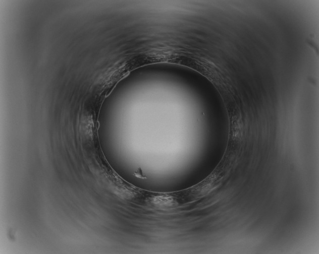 X0000100950279200806241511