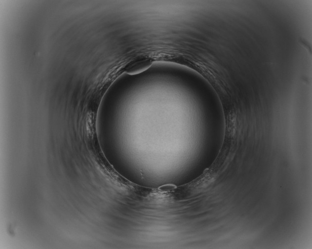 X0000100950280200806241511