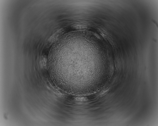 X0000100950281200806241511
