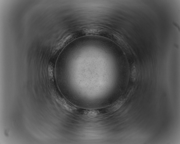 X0000100950282200806241511