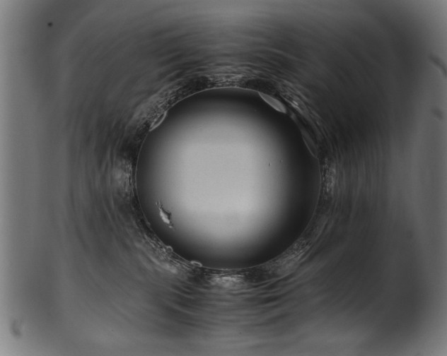 X0000100950283200806241511