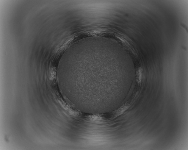 X0000100950284200806241511