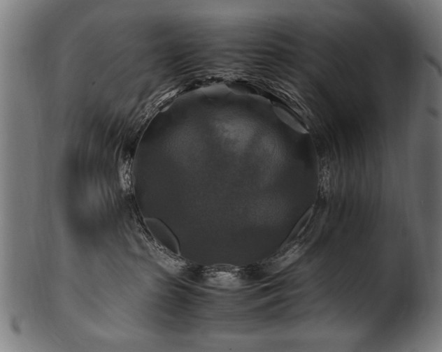 X0000100950285200806241511
