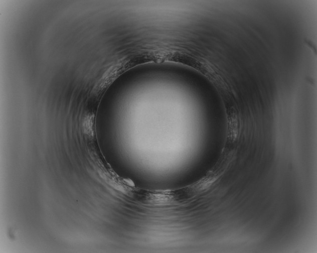 X0000100950286200806241511