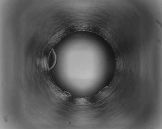 X0000100950287200806241511