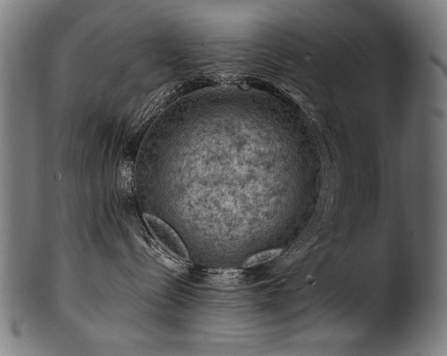 X0000100950288200806241511