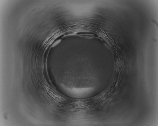 X0000100950290200806241510
