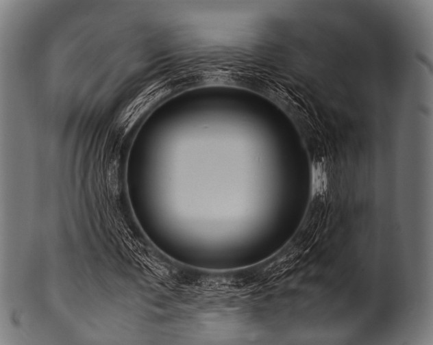 X0000100950291200806241510