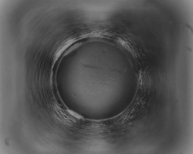 X0000100950292200806241510