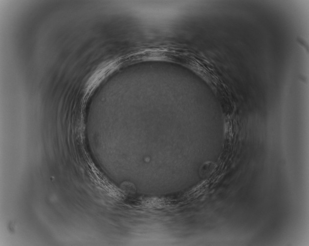 X0000100950293200806241510