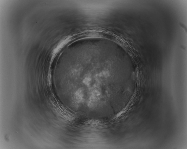 X0000100950294200806241510