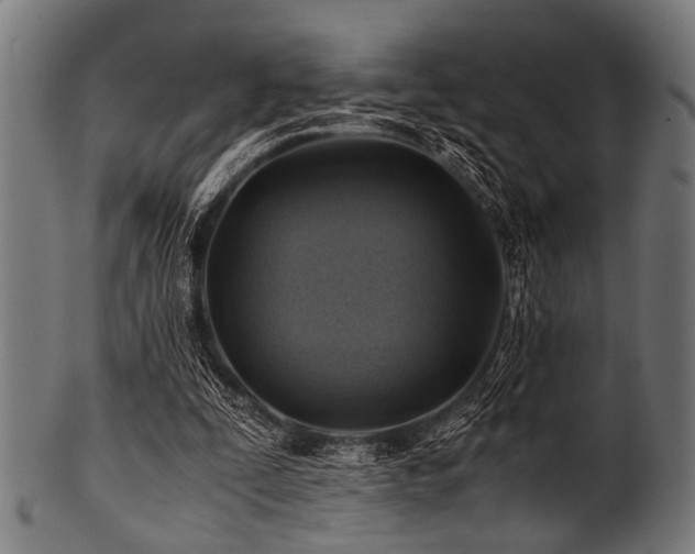 X0000100950295200806241510
