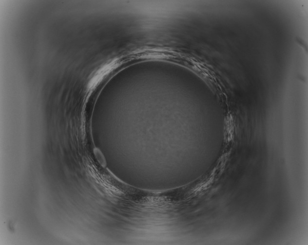 X0000100950296200806241510