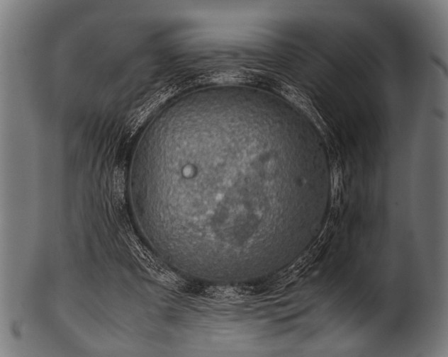 X0000100950297200806241510