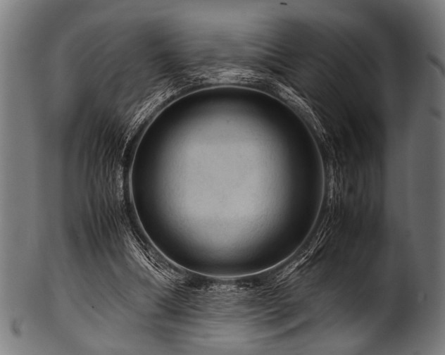 X0000100950298200806241510