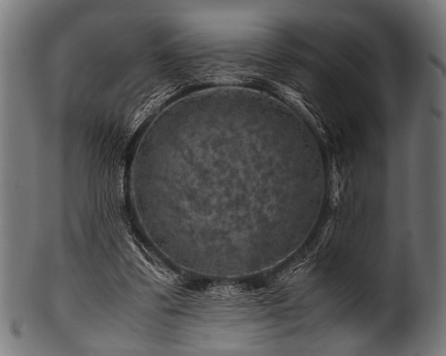 X0000100950299200806241510