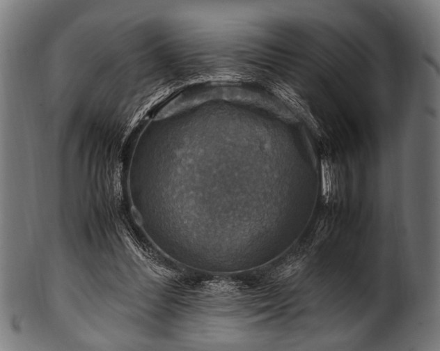 X0000100950300200806241510