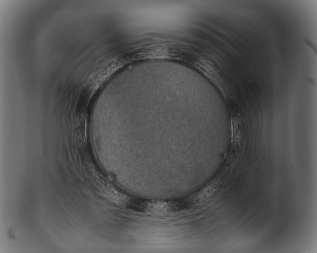 X0000100950301200806241510