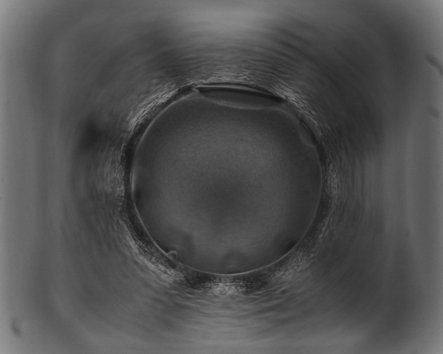 X0000100950303200806241510