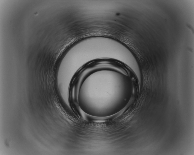 X0000100950304200806241510