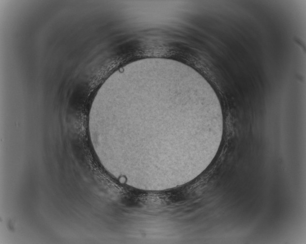 X0000100950305200806241510