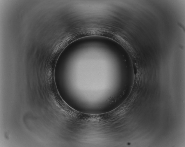 X0000100950306200806241510