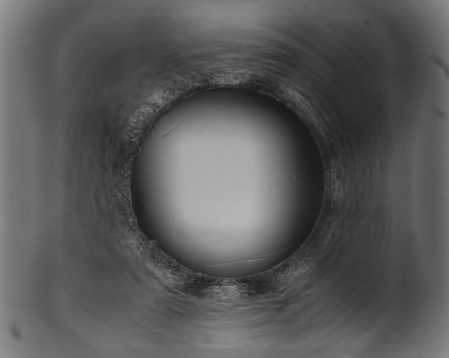 X0000100950307200806241510