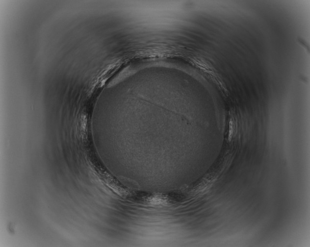 X0000100950308200806241510