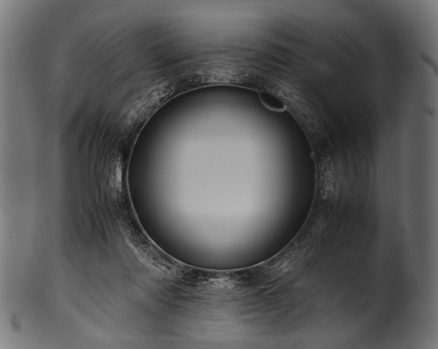 X0000100950310200806241510