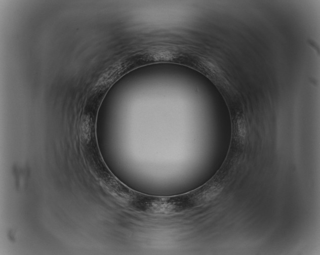 X0000100950311200806241510