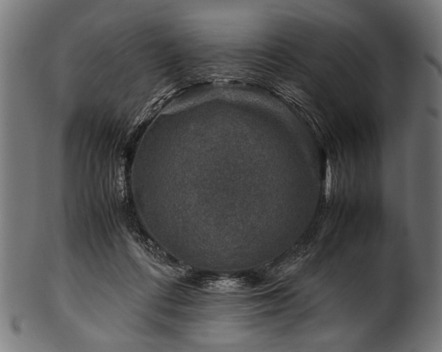 X0000100950312200806241510