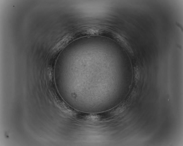 X0000100950313200806241510