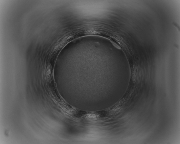 X0000100950314200806241510