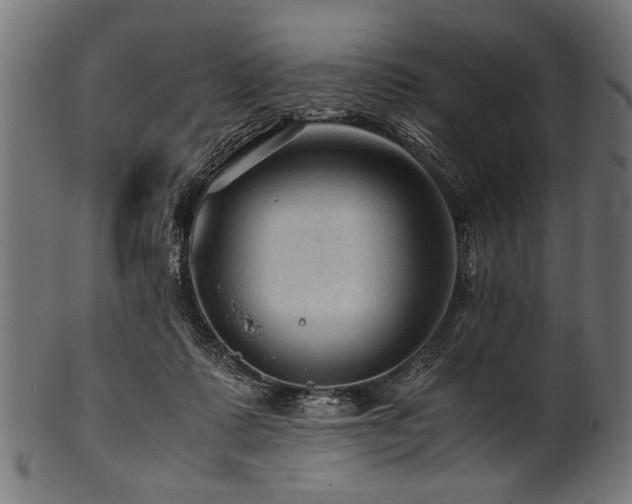 X0000100950315200806241510