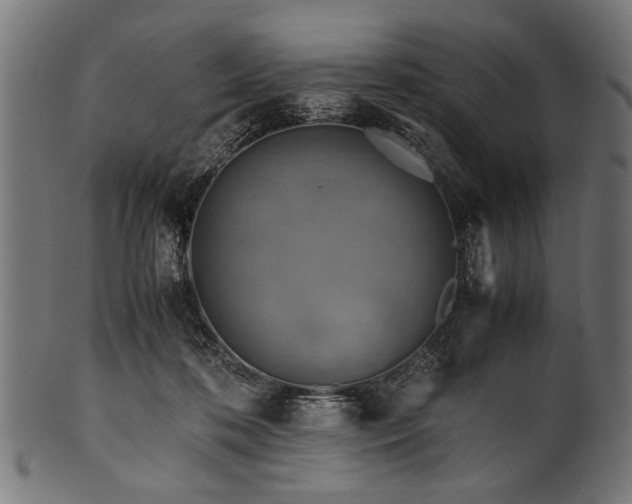 X0000100950316200806241510