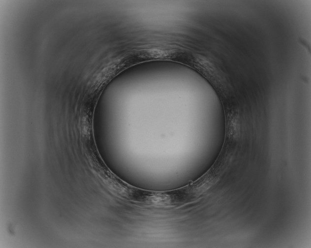 X0000100950317200806241510