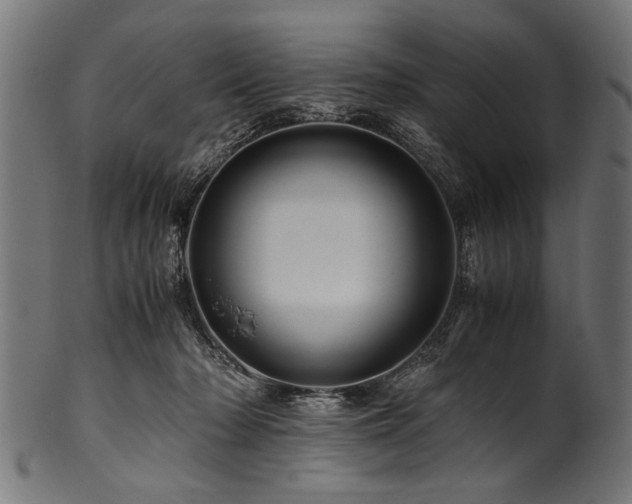 X0000100950318200806241510