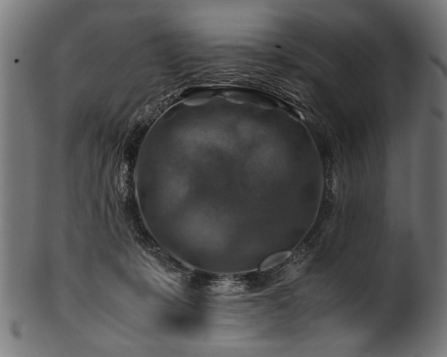 X0000100950319200806241510
