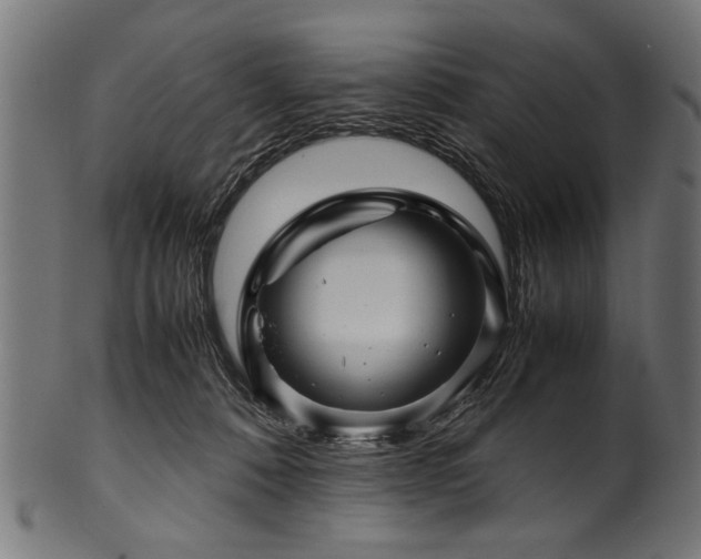 X0000100950320200806241509