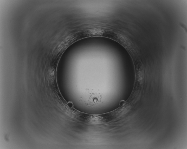 X0000100950321200806241509