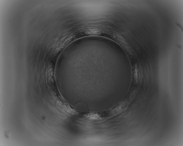 X0000100950322200806241509