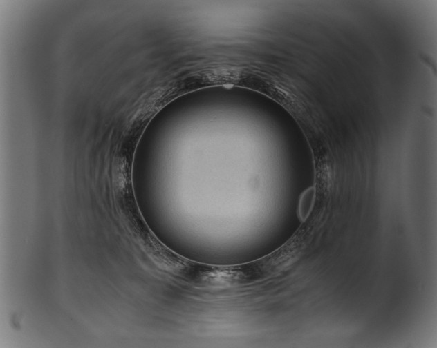 X0000100950323200806241509