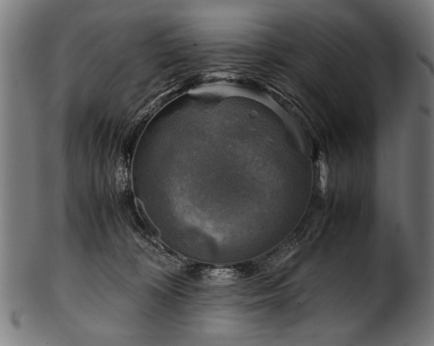 X0000100950324200806241509